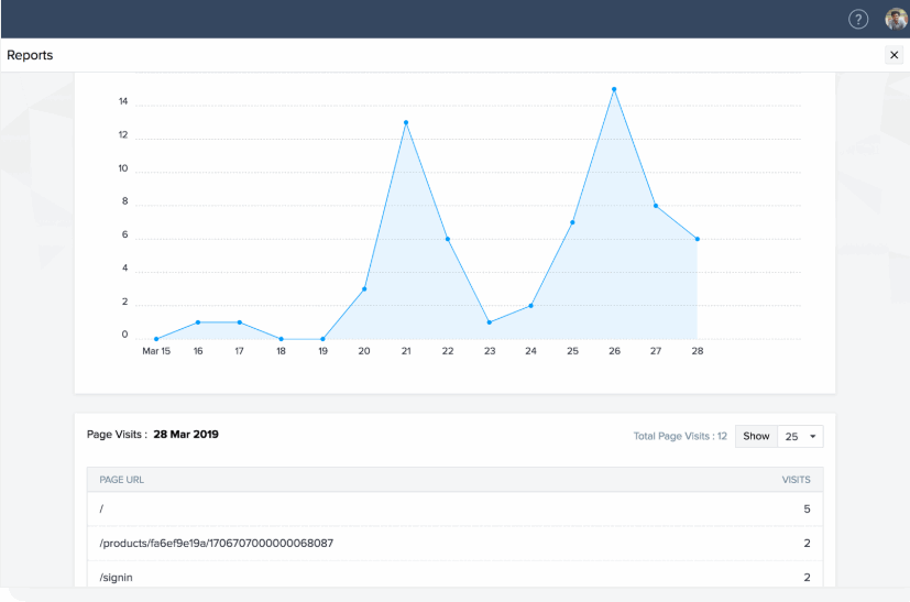 Example of website metrics report shown in Zoho Commerce